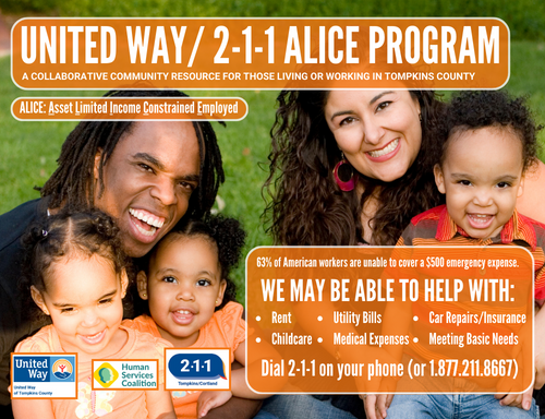 2-1-1/ALICE Program
